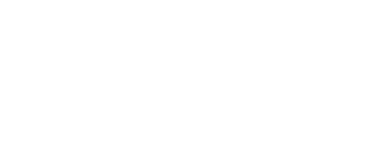 heist WHITE text logo